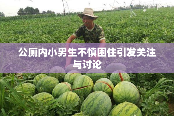 公厕内小男生不慎困住引发关注与讨论