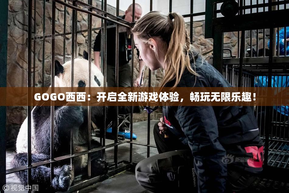 GOGO西西：开启全新游戏体验，畅玩无限乐趣！