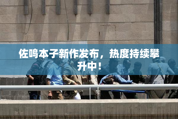 佐鸣本子新作发布，热度持续攀升中！
