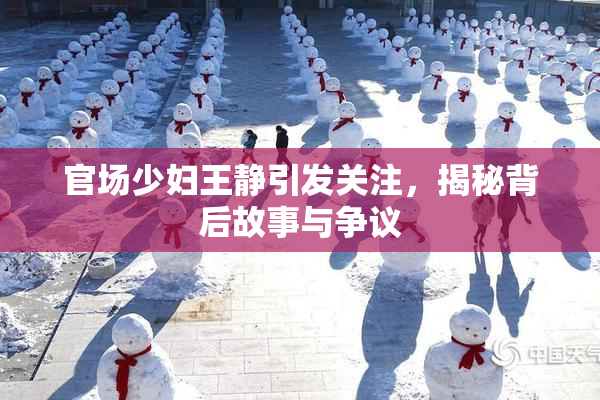 官场少妇王静引发关注，揭秘背后故事与争议