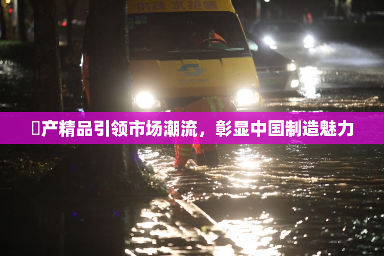 囯产精品引领市场潮流，彰显中国制造魅力