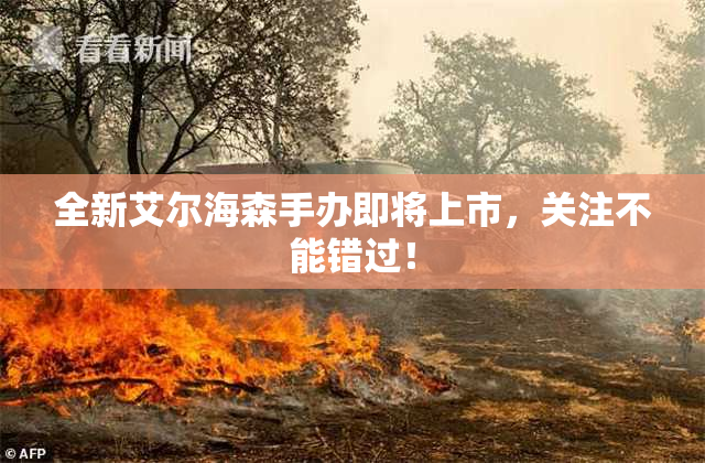 全新艾尔海森手办即将上市，关注不能错过！