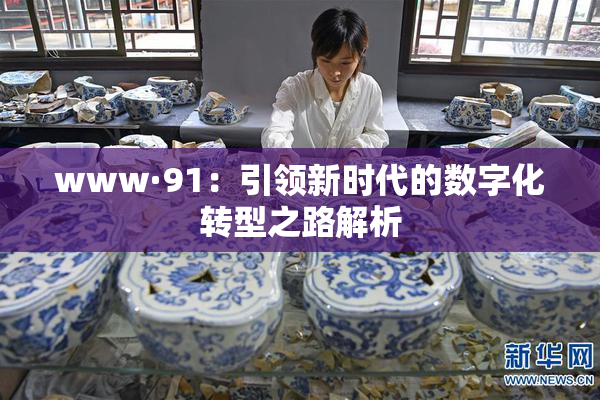 www·91：引领新时代的数字化转型之路解析