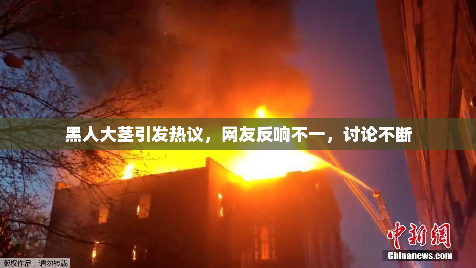 黑人大茎引发热议，网友反响不一，讨论不断