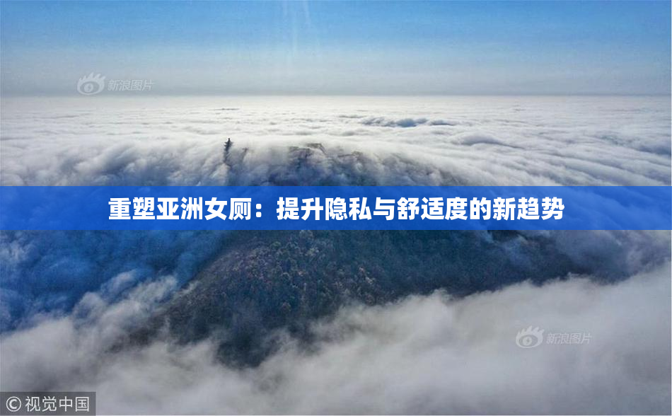 重塑亚洲女厕：提升隐私与舒适度的新趋势