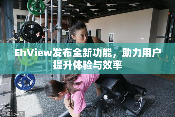 EhView发布全新功能，助力用户提升体验与效率