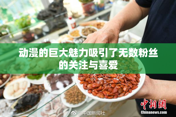 动漫的巨大魅力吸引了无数粉丝的关注与喜爱