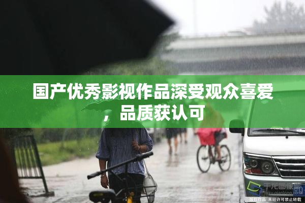 国产优秀影视作品深受观众喜爱，品质获认可