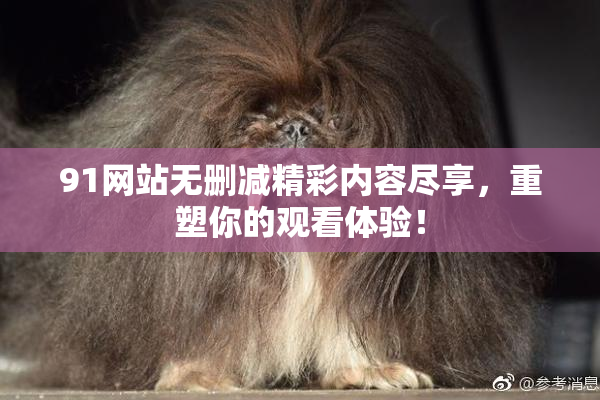 91网站无删减精彩内容尽享，重塑你的观看体验！