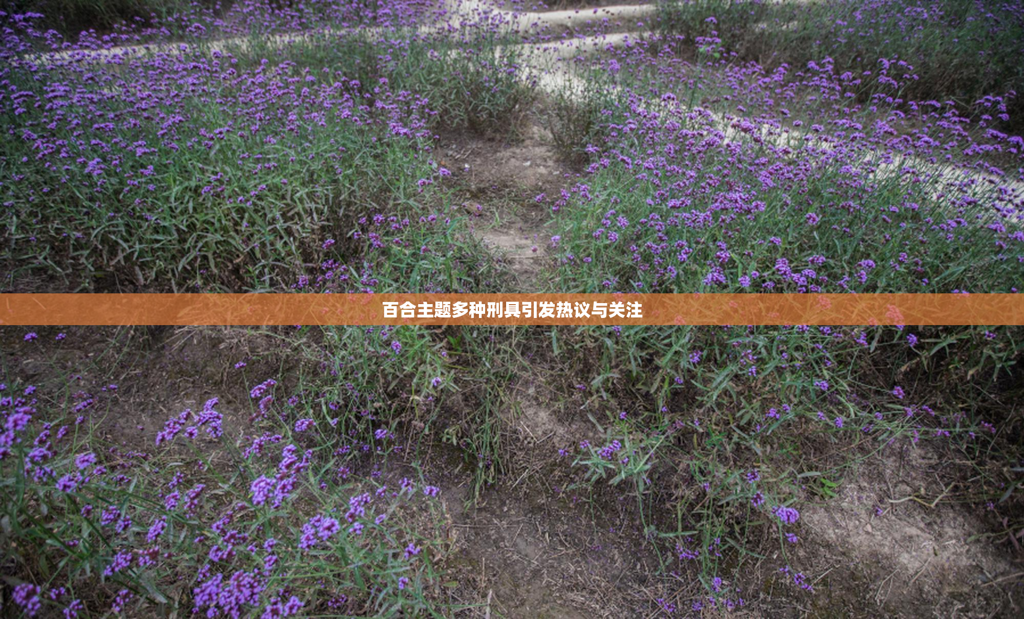 百合主题多种刑具引发热议与关注
