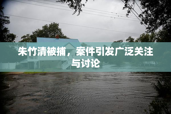 朱竹清被捕，案件引发广泛关注与讨论