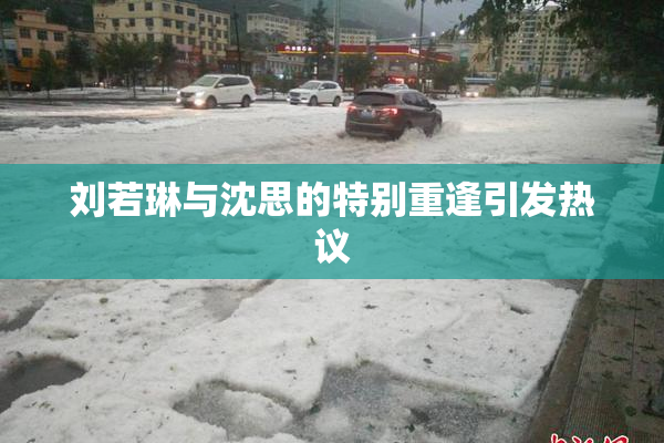 刘若琳与沈思的特别重逢引发热议