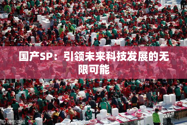 国产SP：引领未来科技发展的无限可能