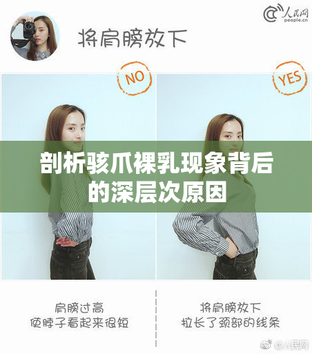 剖析骇爪裸乳现象背后的深层次原因