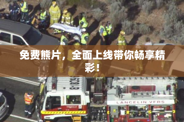 免费熊片，全面上线带你畅享精彩！