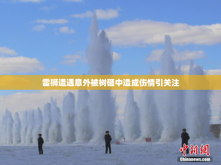 雷狮遭遇意外被树砸中造成伤情引关注