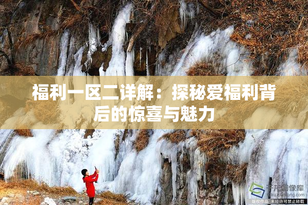 福利一区二详解：探秘爱福利背后的惊喜与魅力
