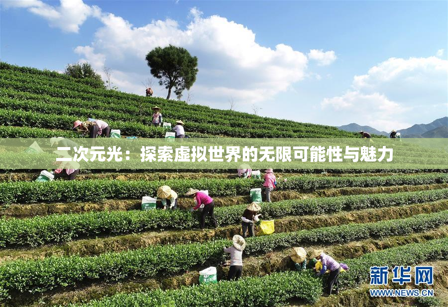 二次元光：探索虚拟世界的无限可能性与魅力