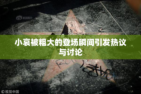 小哀被粗大的登场瞬间引发热议与讨论
