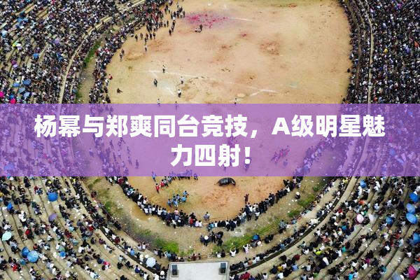 杨幂与郑爽同台竞技，A级明星魅力四射！