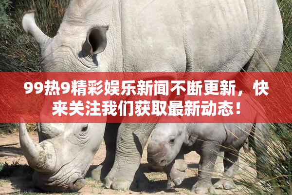 99热9精彩娱乐新闻不断更新，快来关注我们获取最新动态！