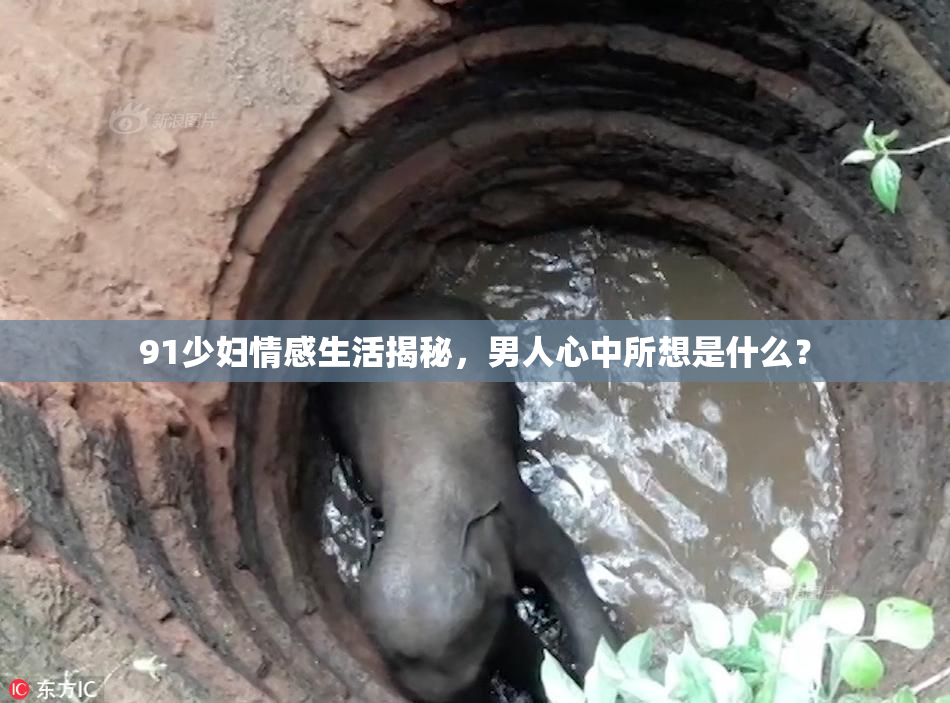 91少妇情感生活揭秘，男人心中所想是什么？