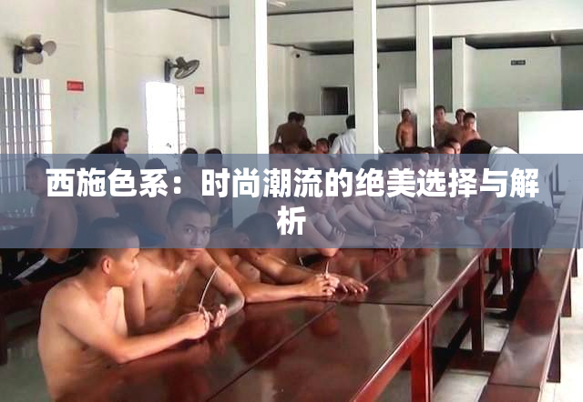 西施色系：时尚潮流的绝美选择与解析