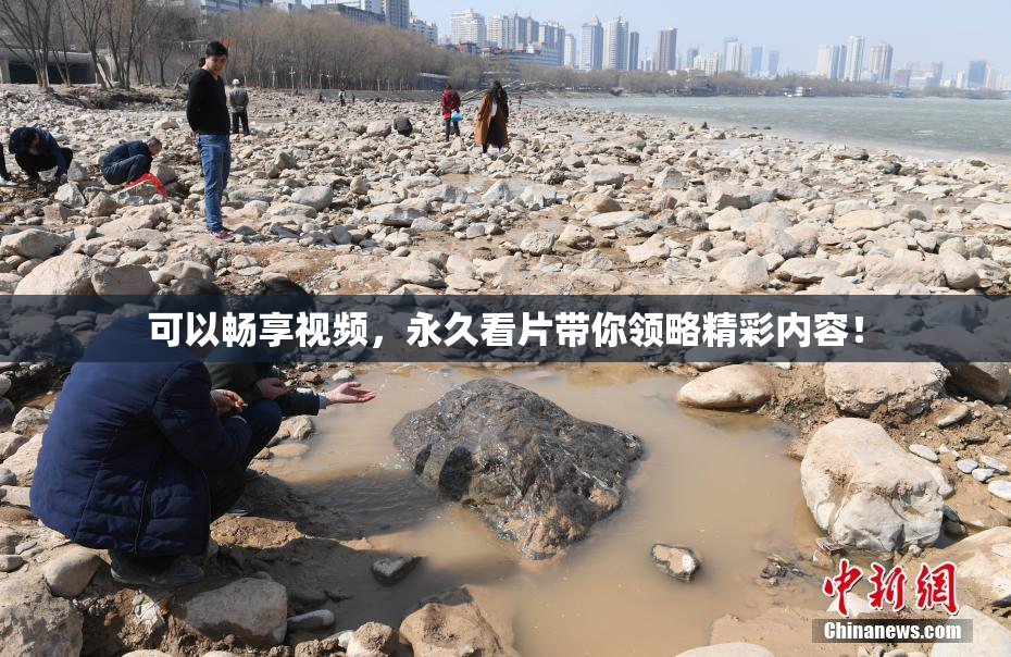可以畅享视频，永久看片带你领略精彩内容！