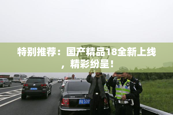 特别推荐：国产精品18全新上线，精彩纷呈！