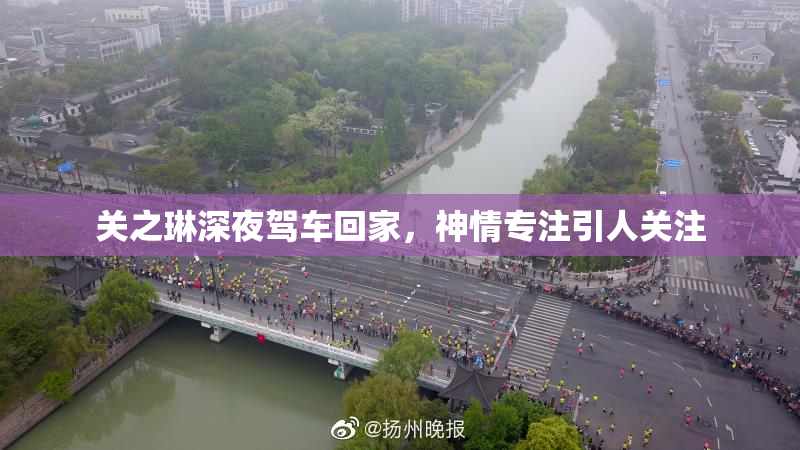 关之琳深夜驾车回家，神情专注引人关注