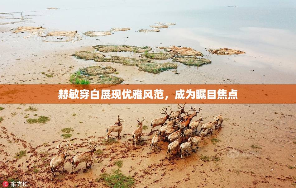 赫敏穿白展现优雅风范，成为瞩目焦点