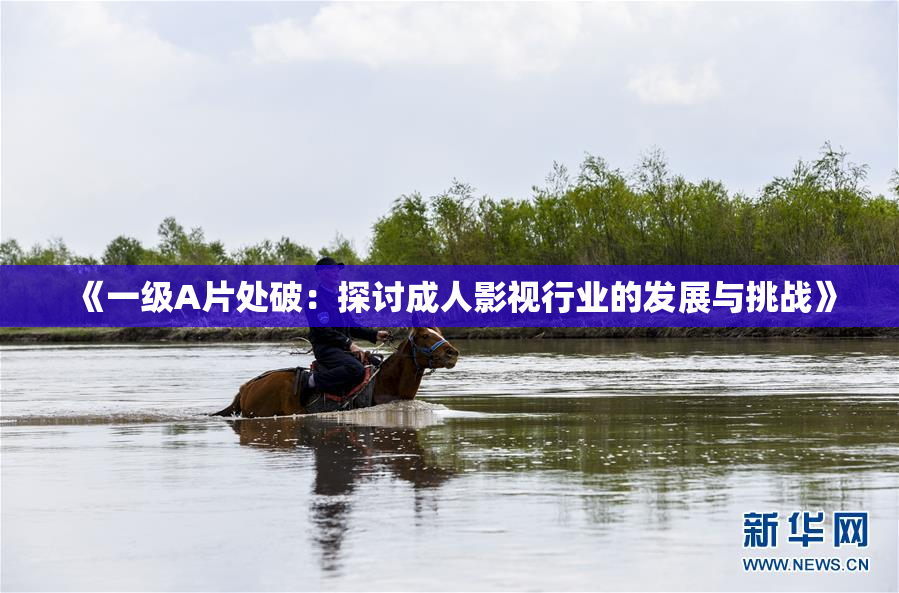 《一级A片处破：探讨成人影视行业的发展与挑战》