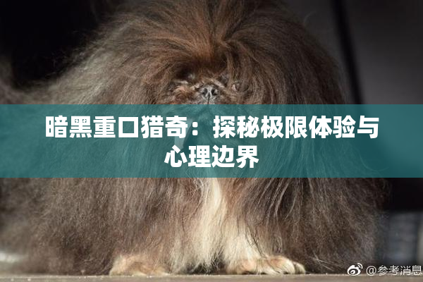 暗黑重口猎奇：探秘极限体验与心理边界