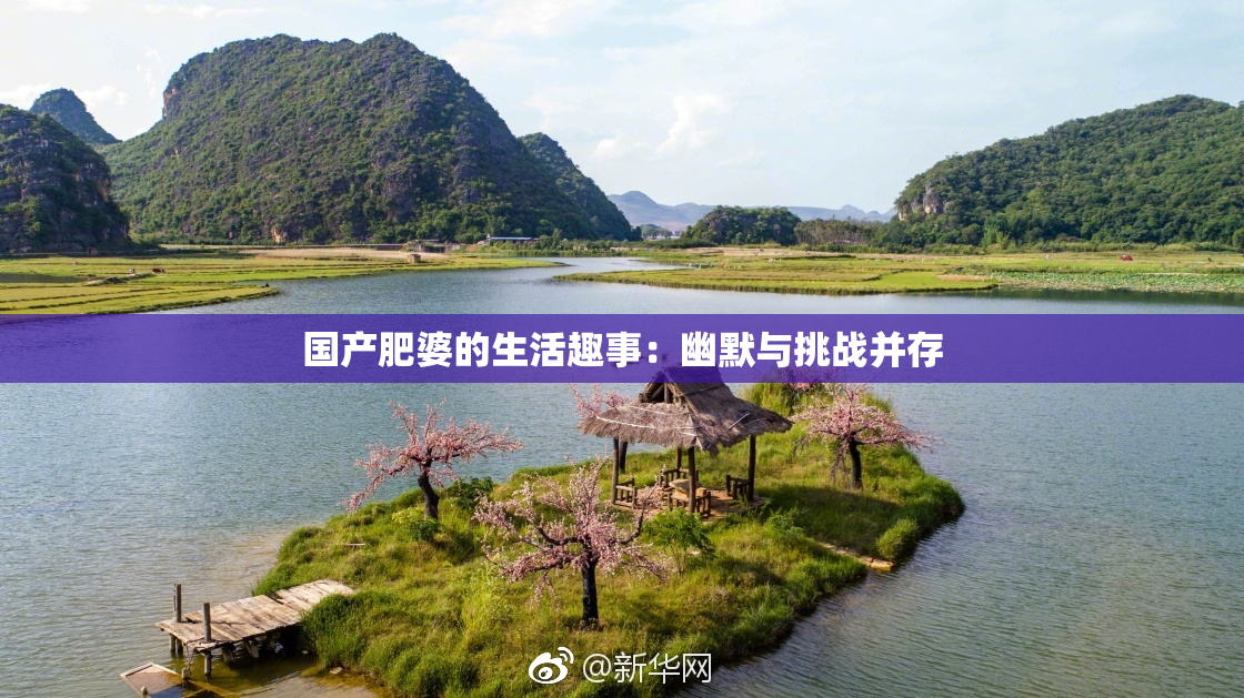 国产肥婆的生活趣事：幽默与挑战并存