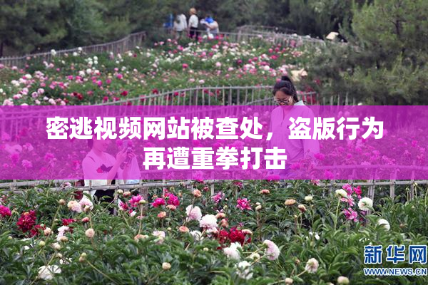 密逃视频网站被查处，盗版行为再遭重拳打击