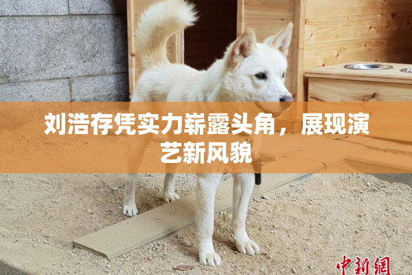 刘浩存凭实力崭露头角，展现演艺新风貌