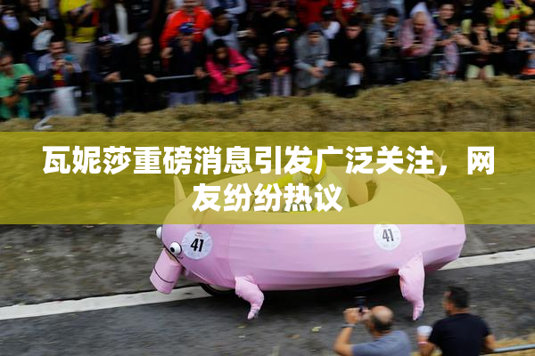 瓦妮莎重磅消息引发广泛关注，网友纷纷热议