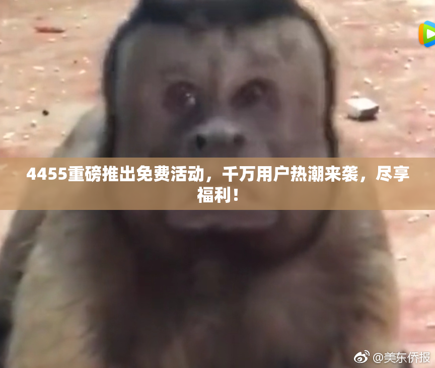 4455重磅推出免费活动，千万用户热潮来袭，尽享福利！