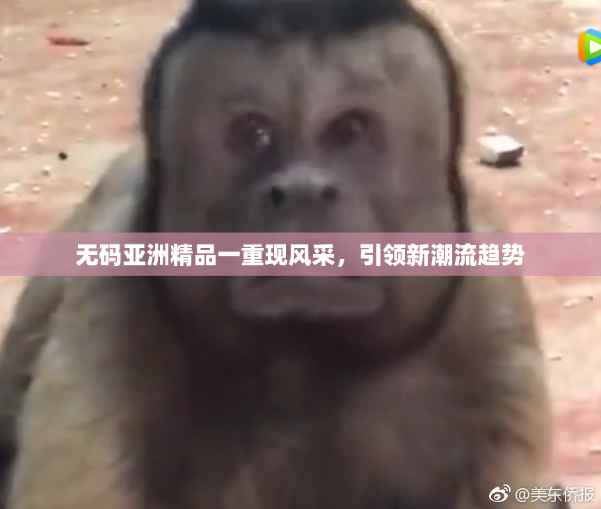 无码亚洲精品一重现风采，引领新潮流趋势