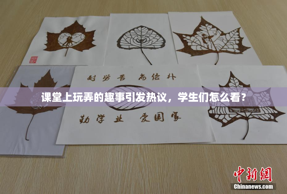 课堂上玩弄的趣事引发热议，学生们怎么看？