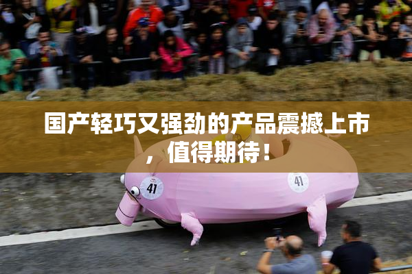 国产轻巧又强劲的产品震撼上市，值得期待！