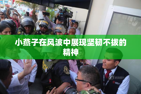 小燕子在风波中展现坚韧不拔的精神