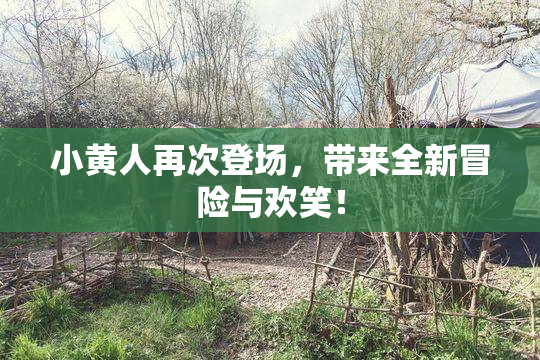小黄人再次登场，带来全新冒险与欢笑！