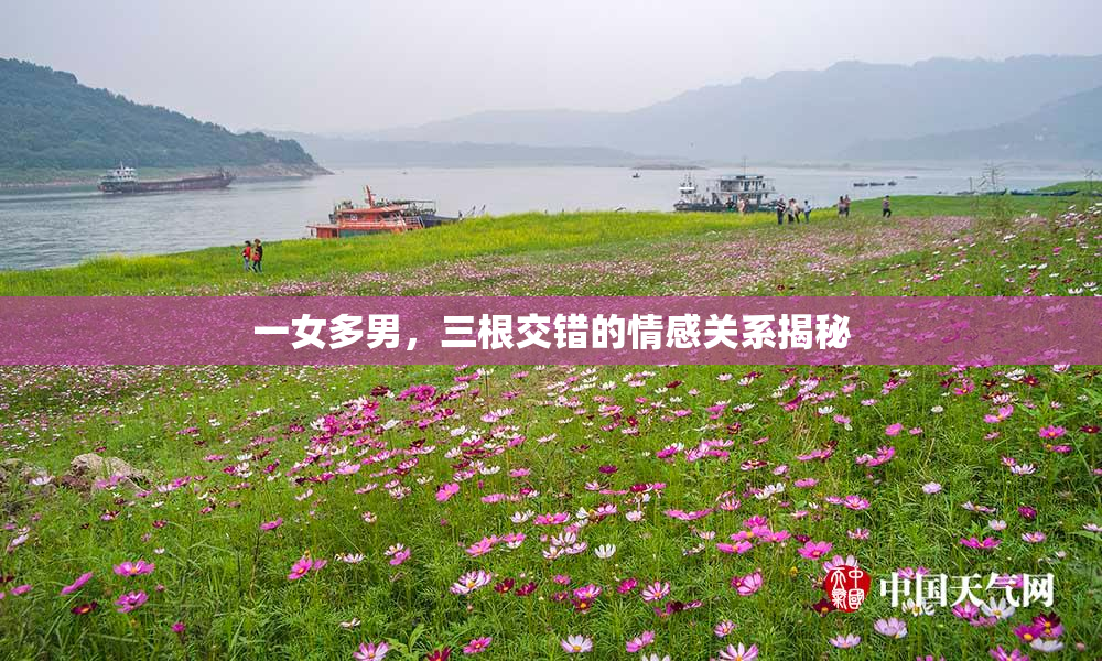 一女多男，三根交错的情感关系揭秘