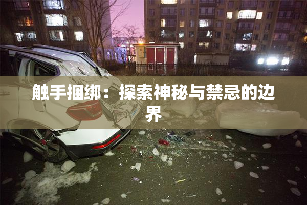 触手捆绑：探索神秘与禁忌的边界