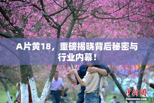 A片黄18，重磅揭晓背后秘密与行业内幕！