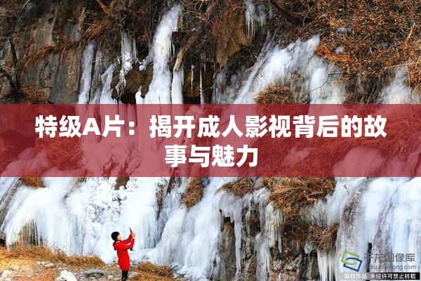 特级A片：揭开成人影视背后的故事与魅力