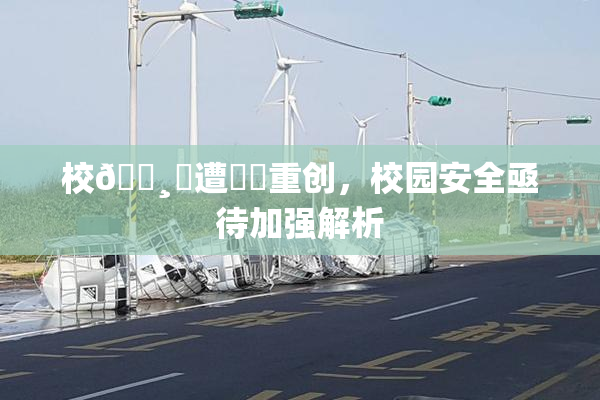 校🌸‌遭❌‌重创，校园安全亟待加强解析