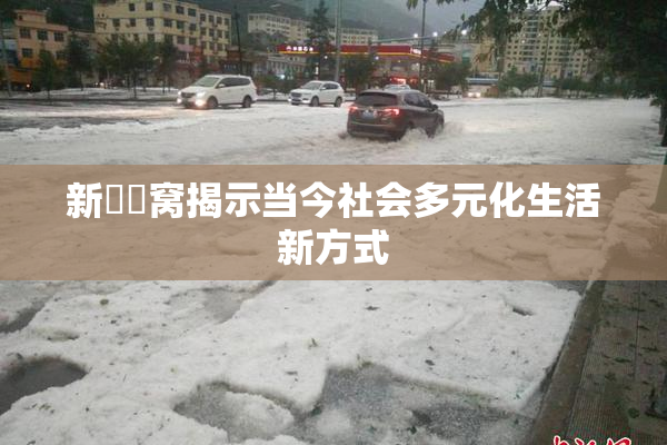 新妺妺窝揭示当今社会多元化生活新方式