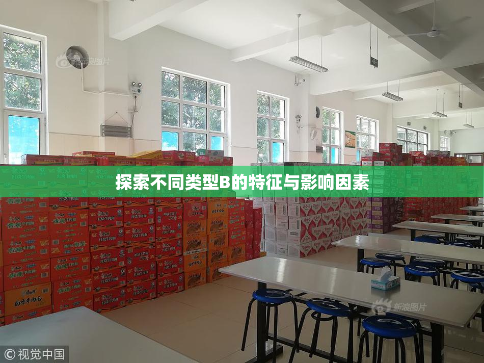 探索不同类型B的特征与影响因素